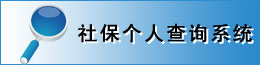 社保個人查詢系統
